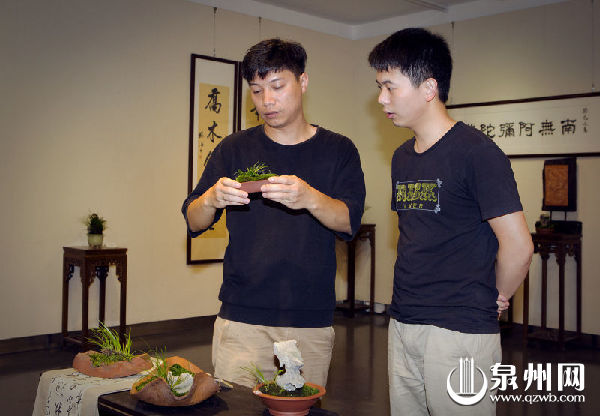 郑剑斌:闽南元素,融进菖蒲盆景