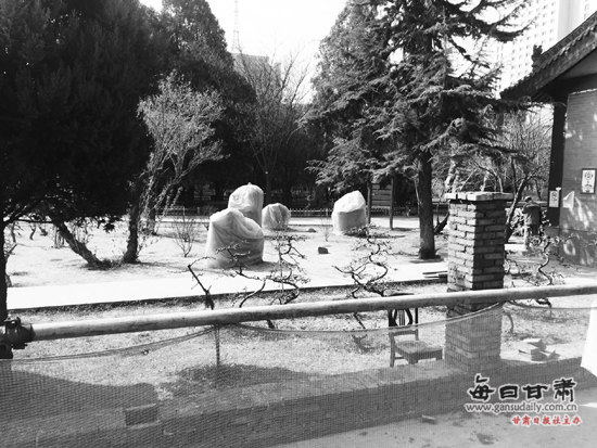 兰州南昌路金城盆景园 砌高地基安装新式透景栏杆