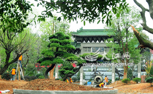 南昌城区首个盆景园七月建成【图】