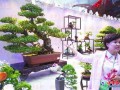 山东花卉盆景大赛77个作品获奖 在时尚花艺馆展出