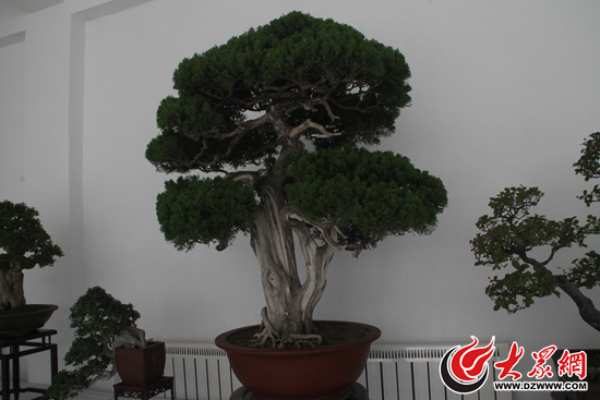 点击浏览下一张 点击浏览下一张