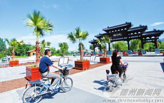 山东德州明月湖引进大型木质盆景植物12余株