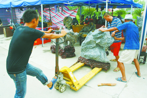 山东滕州奇石盆景博览会加紧布展