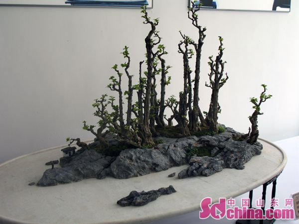 大明湖景区的济南盆景奇石园建成30日开放