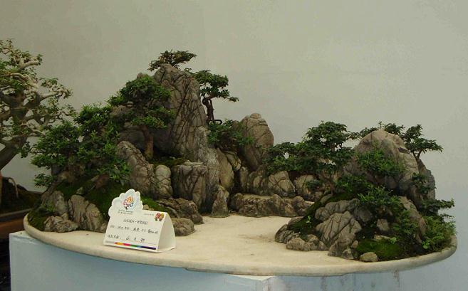 潍坊多处公共设施遭人为破坏 沿河盆景被掀河中