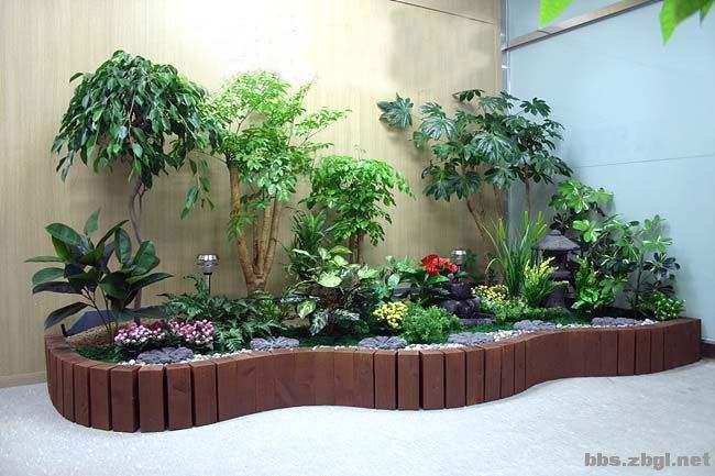 九江庐山苗木盆景基地