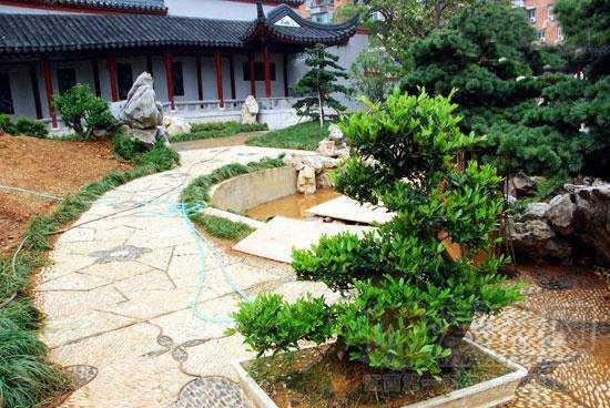 百名海峡两岸专家聚会福建漳州研讨花木盆景艺术