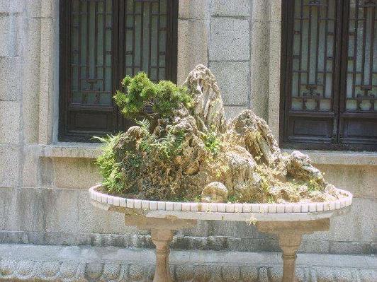 莆田市举办菊花盆景展