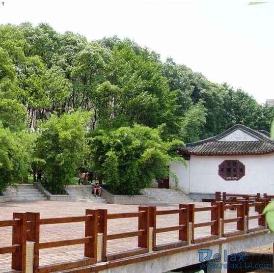 福州的70岁老伯花了一年三个月 终于制成了两棵铜榕盆景