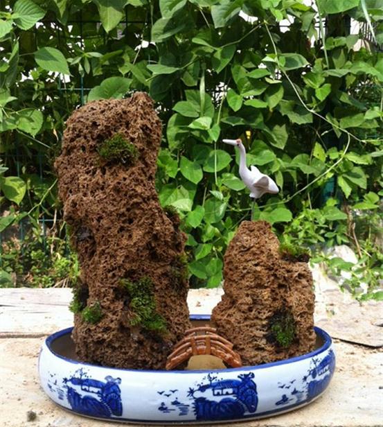 盆景艺术大师蚌埠比拼盆景绝活