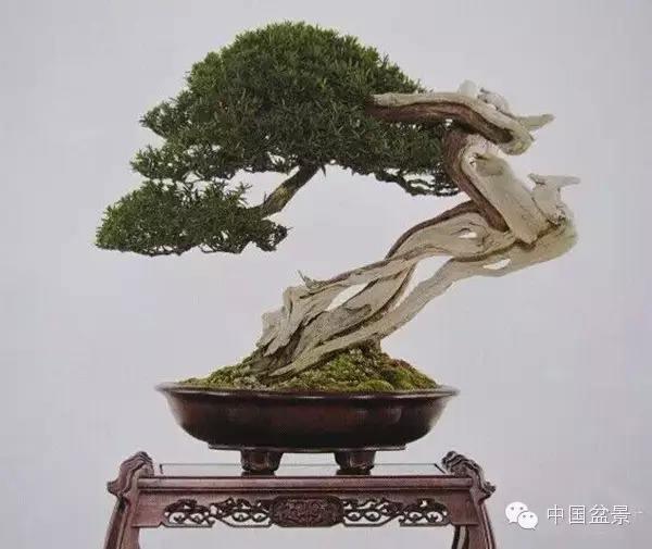 金华陈章作盆景有限公司