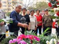 迎国庆庆重阳 日照一社区居民自办花卉盆景展(组图)