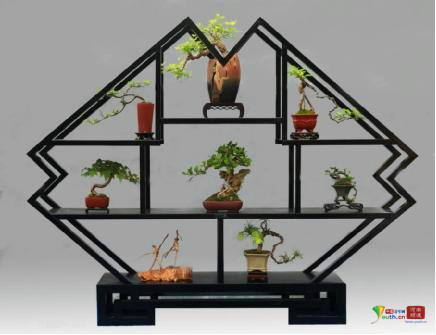 中州盆景学会第三届盆景展在河南镇平举行