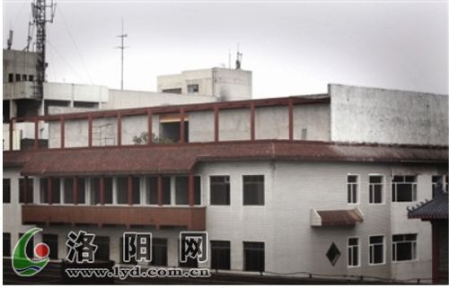 洛阳一饭店修天井摆盆景 楼顶&ldquo;长出&rdquo;庭院