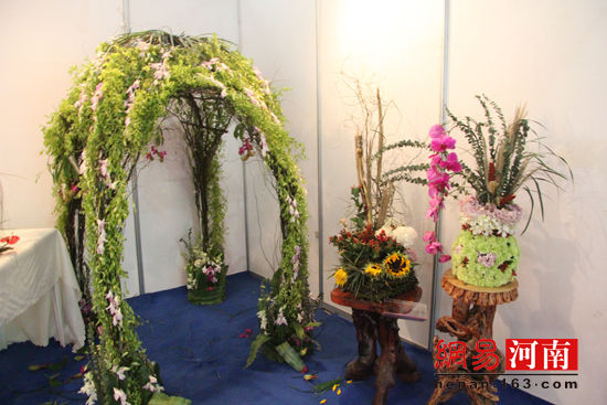 许昌鄢陵花博会:  盆景花艺美不胜收