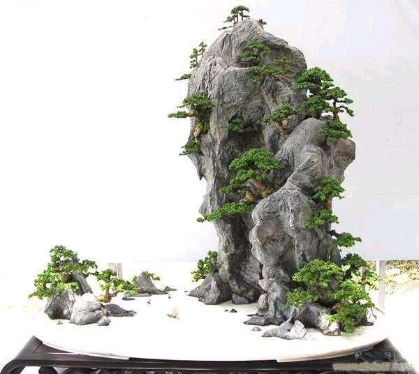 三门峡市举办首届迎春盆景展