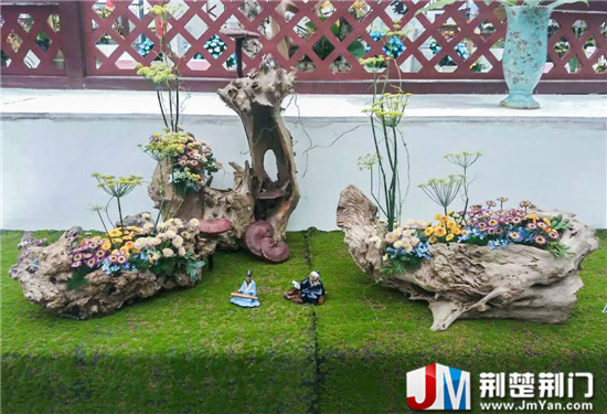 菊花盆景造景吸引眼球 湖北荆门市菊花盆景造景夺目