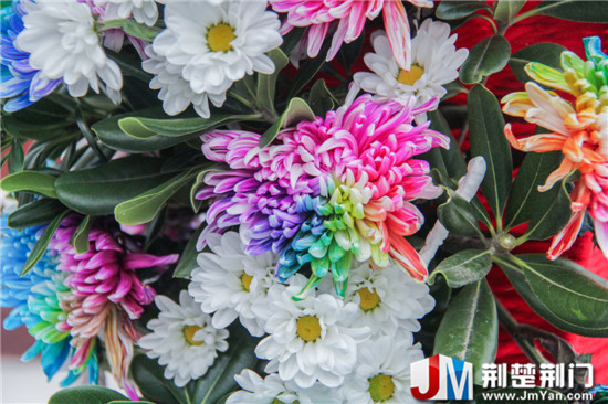 菊花盆景造景吸引眼球 湖北荆门市菊花盆景造景夺目