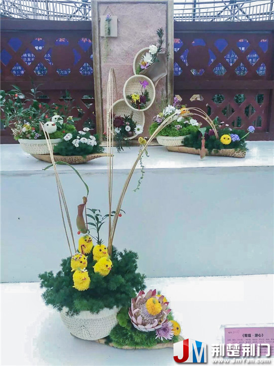 菊花盆景造景吸引眼球 湖北荆门市菊花盆景造景夺目