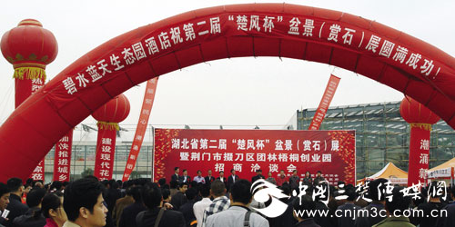 湖北第二届“楚风杯”盆景展团林开展