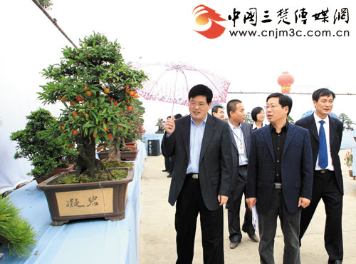 湖北第二届楚风杯盆景展团林开展