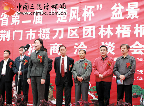 湖北第二届楚风杯盆景展团林开展