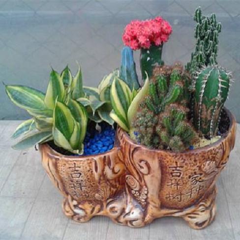 湖北省军区通信站抗电磁辐射盆景落户机房