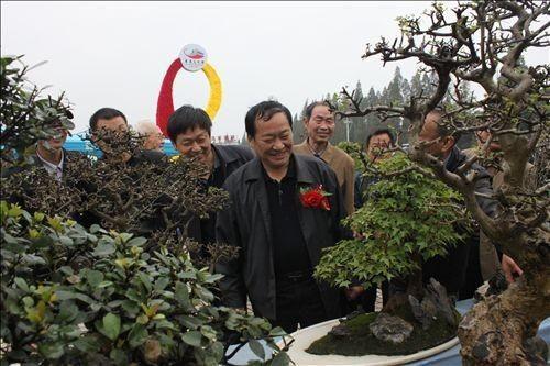 湖北：第二届曹禺文化周盆景根艺赏石展览开幕