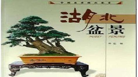 湖北民族学院花木盆景协会开展的“国花荟萃”活动圆满结束