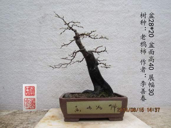 湖北省花木盆景协会在武汉举行四届二次理事会