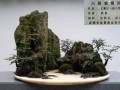 湖北省房县首届盆景艺术研讨会召开
