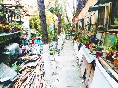 武汉两位老人义务修社区小路4年 摆盆景装饰