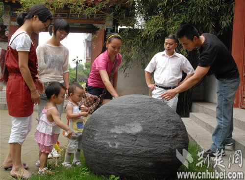 武汉盆景园缺少标签说明 游客有宝识不得