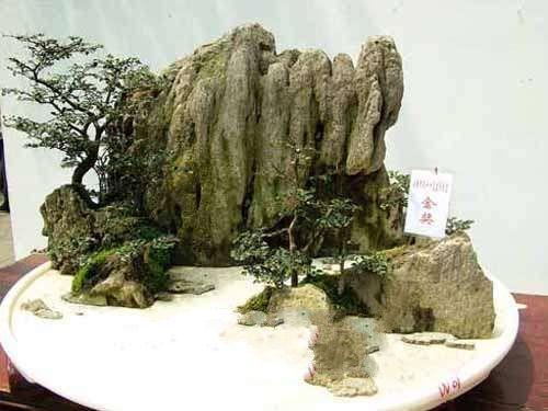 十堰经济技术开发区 :“盆景”变“丛林”的发展智慧