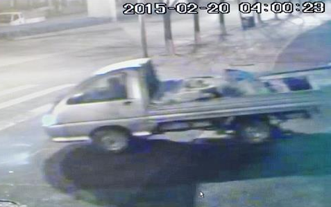 男子家中楼顶200多株盆景 “行家”偷走名贵30株