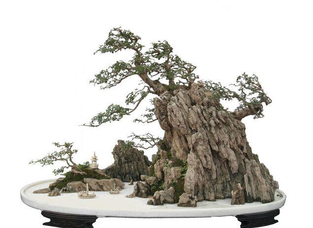 远安党政考察团盛赞宜昌清江盆景园