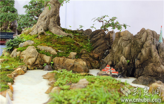中三角第二届盆景赏石根艺展在咸宁举行(组图)