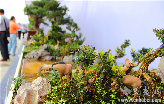 中三角第二届盆景赏石根艺展在咸宁举行(组图)