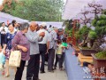 中三角第二届盆景赏石根艺展在咸宁举行(组图)