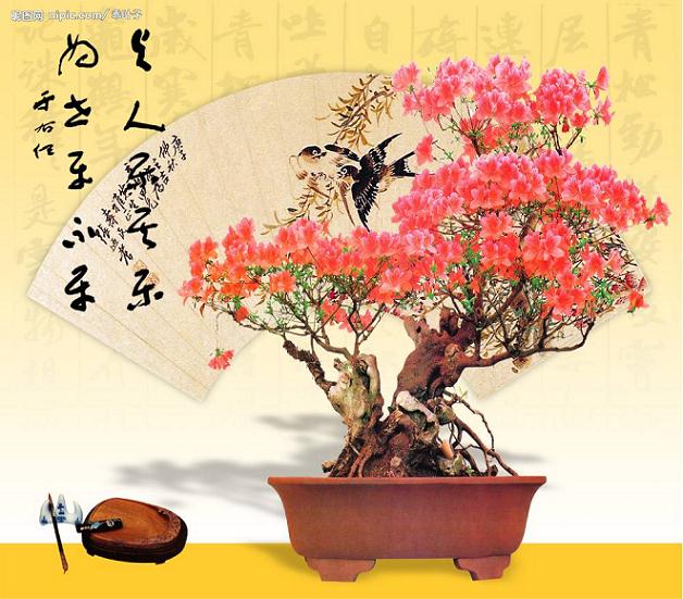 神农架启动珍稀植物苗圃基地和盆景园建设项目