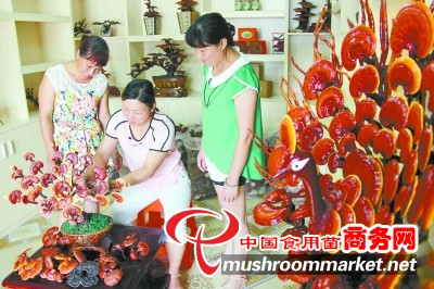 湖南：灵芝盆景助农增收