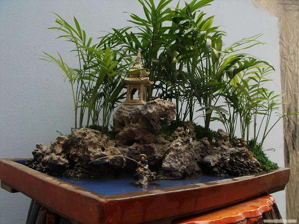 从美丽盆景到缤纷花园