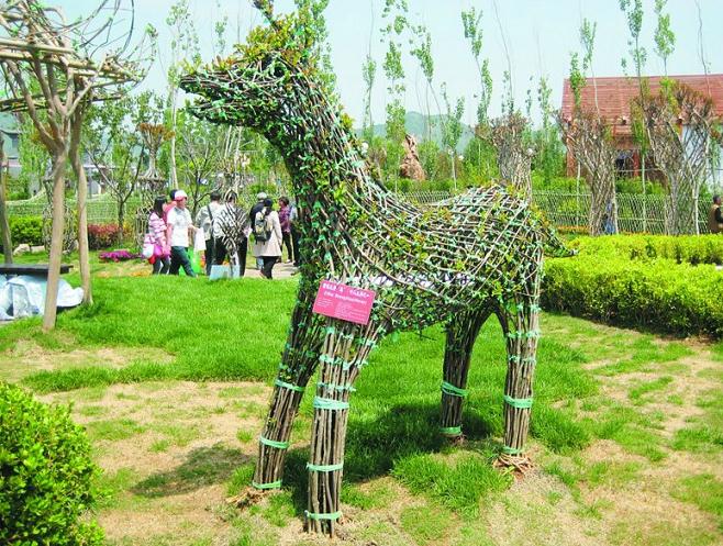 湖南园紫薇盆景树龄已1500年 下月将有盛放奇观