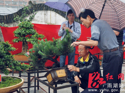 冒雨参观的市民