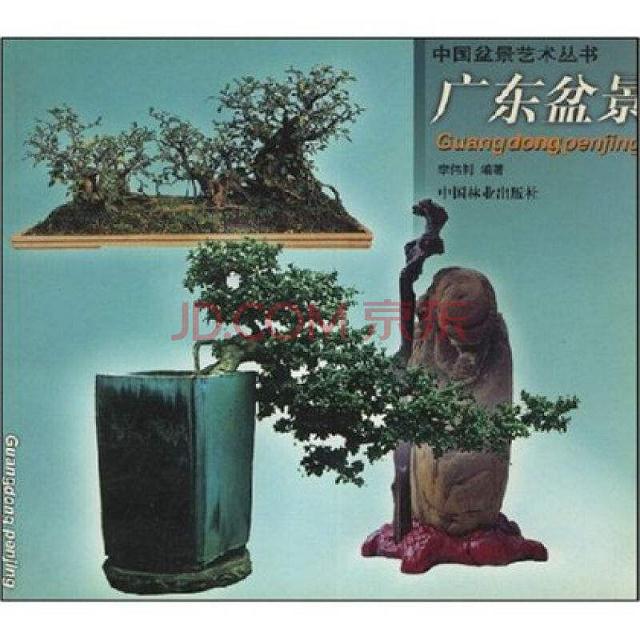 广东盆景出口欧美