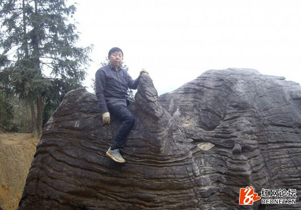 湘西古稀老人13年坚持挖山 现代“愚公”荒山造“盆景”