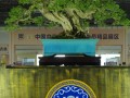 广东中山古镇以盆景为中国灯都扩容