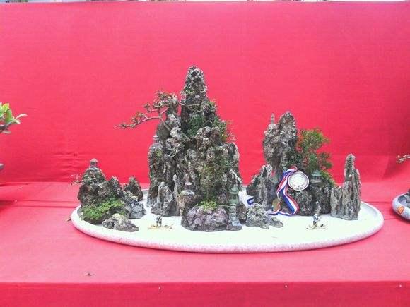 盆景大师荟萃流派纷呈 深圳成华南最大盆景产地