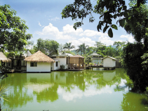 深圳:东湖公园盆景园如此“华丽变身”令人吃惊