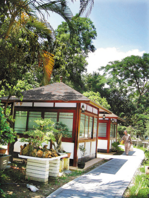 深圳:东湖公园盆景园如此“华丽变身”令人吃惊